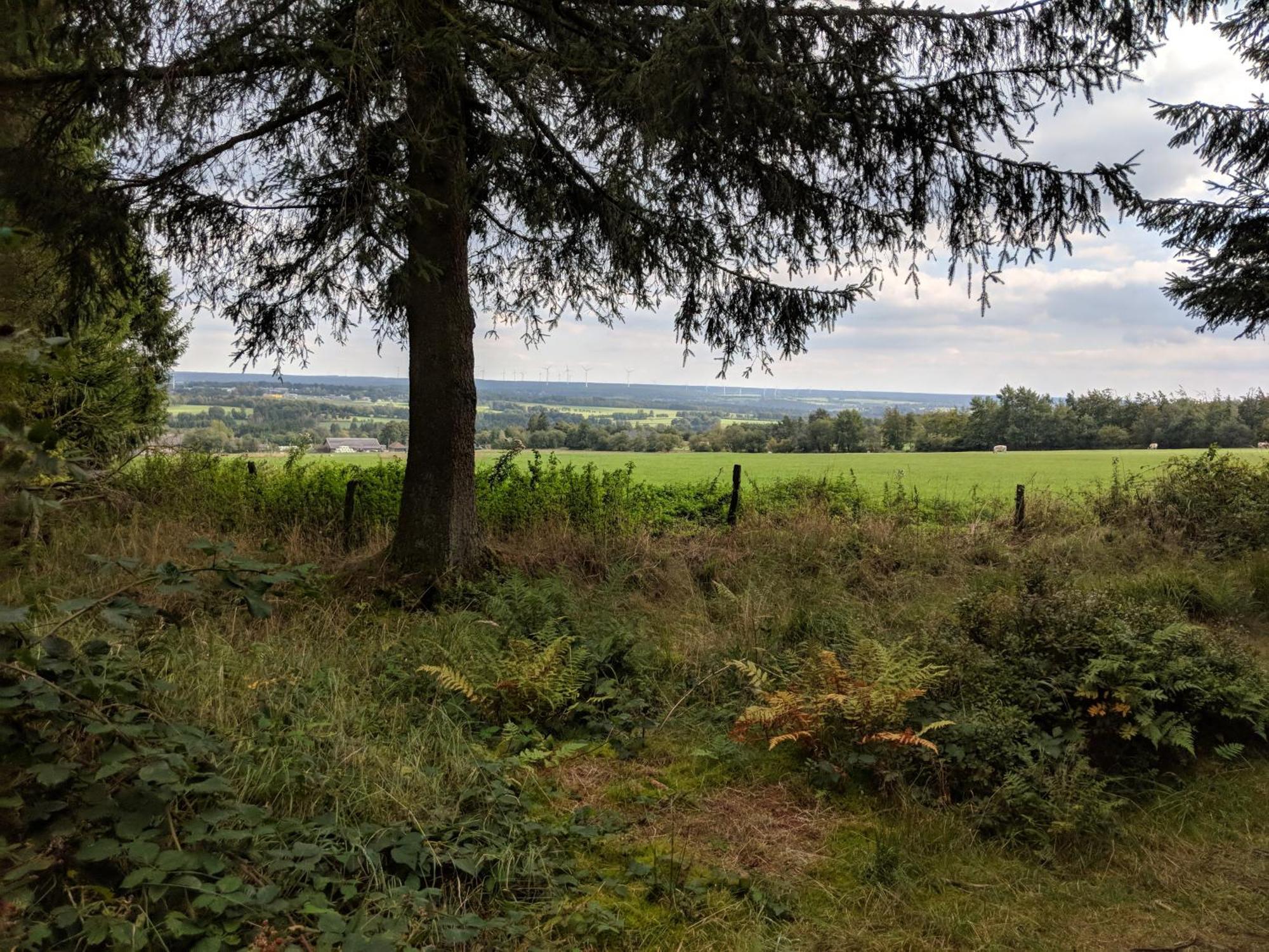 מונשאו Victorhof Landurlaub Deine Auszeit Im Gruenen, Umgeben Von Wald & Wiesen מראה חיצוני תמונה